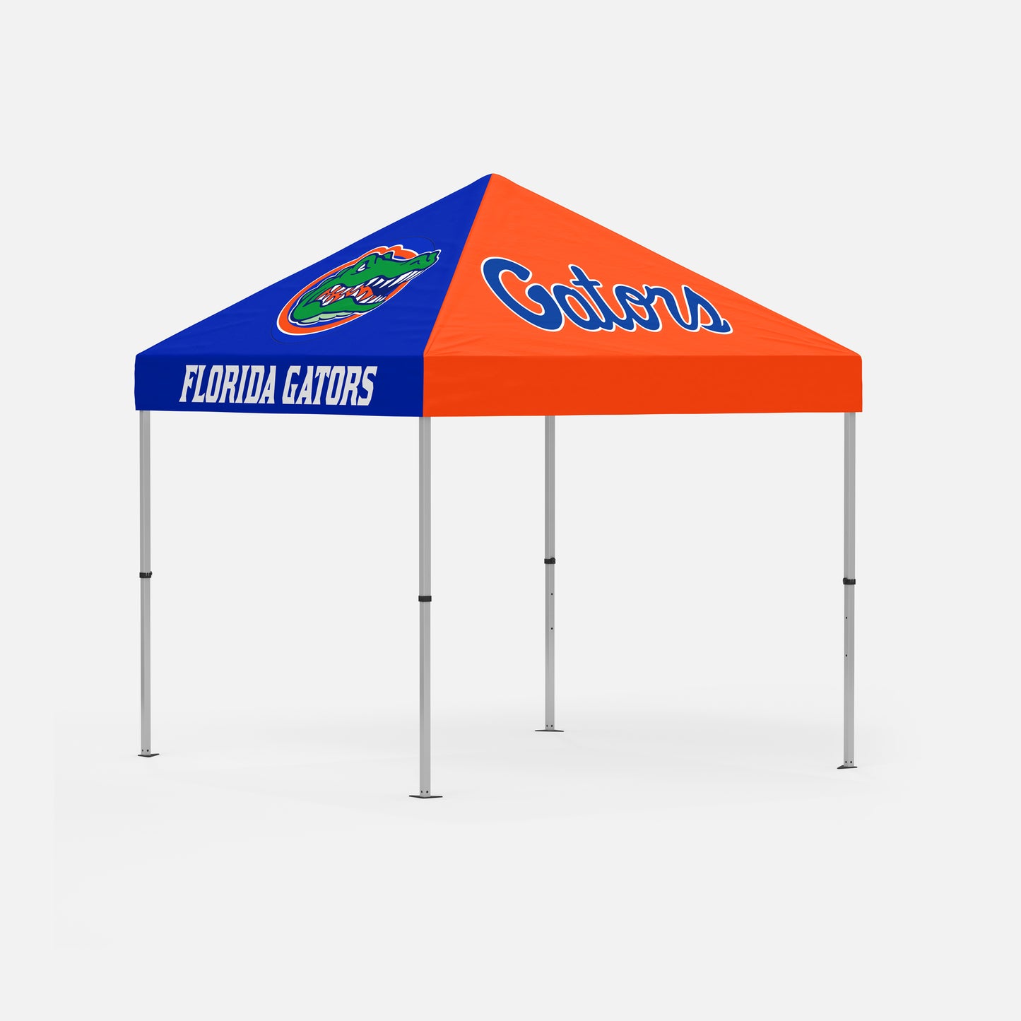 10'x10' Canopy + frame