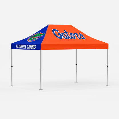 10'x15' Canopy + Frame