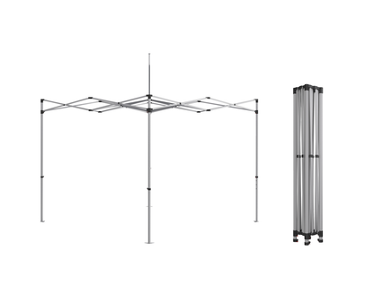 10'x10' Canopy + frame